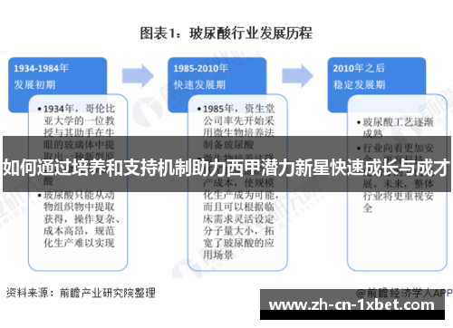 如何通过培养和支持机制助力西甲潜力新星快速成长与成才