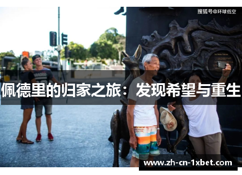 佩德里的归家之旅：发现希望与重生