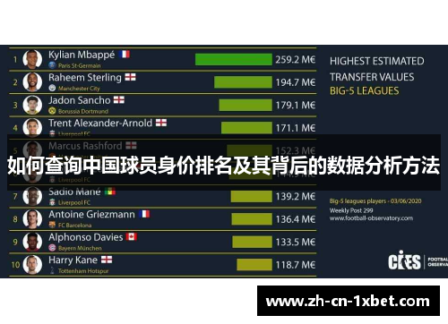 如何查询中国球员身价排名及其背后的数据分析方法