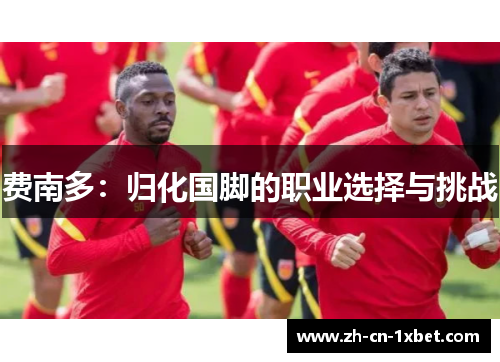 费南多：归化国脚的职业选择与挑战