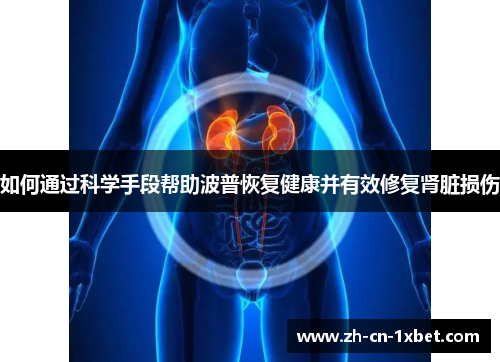 如何通过科学手段帮助波普恢复健康并有效修复肾脏损伤