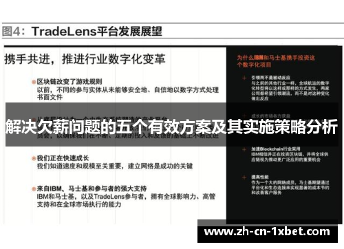 解决欠薪问题的五个有效方案及其实施策略分析