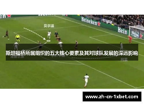 斯坦福桥所属组织的五大核心要素及其对球队发展的深远影响